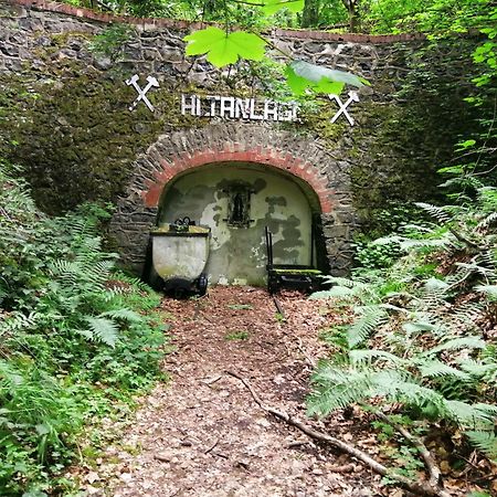 Ferienhaus 30 Am Silbersee Frielendorf Dış mekan fotoğraf